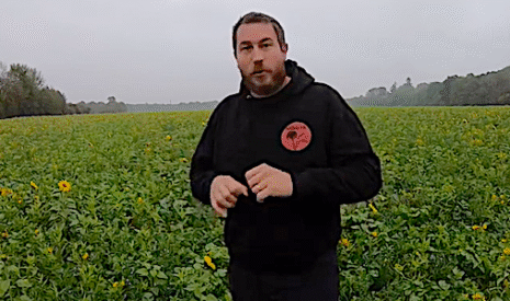 Pourquoi je détruis mon couvert végétal avec du glyphosate