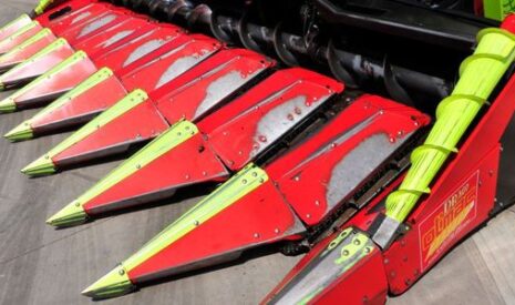 Olimac, vers le marché français