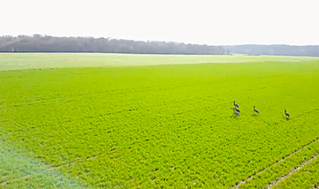 Paysages agricoles printaniers vus depuis un drone
