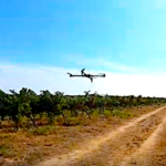 Comment utiliser le drone pour détecter les maladies de la vigne
