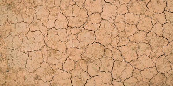 dry and cracked ground texture