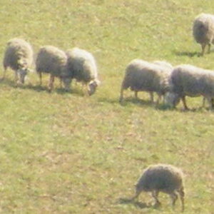 dscf3417bis