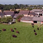 Les vidéos 2019 des agriculteurs dynamiques