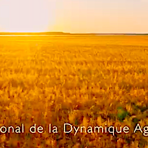 dynamique agricole banques populaires