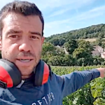 L’effeuillage mécanique précoce, une technique pour réduire les phytosanitaires en viticulture