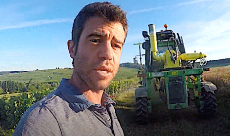 Champagne, l’effeuillage mécanique des vignes se substitue à la protection phytosanitaire