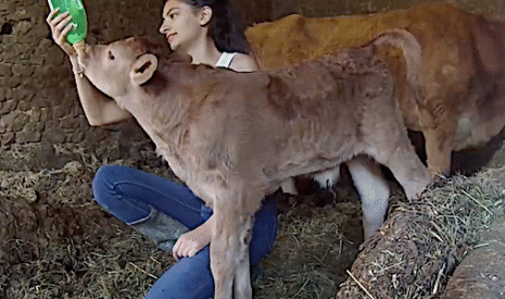 Le best of 2018 d’Elisa AgriPassion
