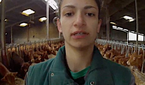 Une matinée hivernale d’Elisa dans son élevage bovin de Haute-Vienne