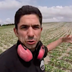 Un seul engrais pour la croissance du tournesol, mais au bon moment !