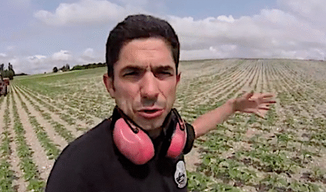 Un seul engrais pour la croissance du tournesol, mais au bon moment !