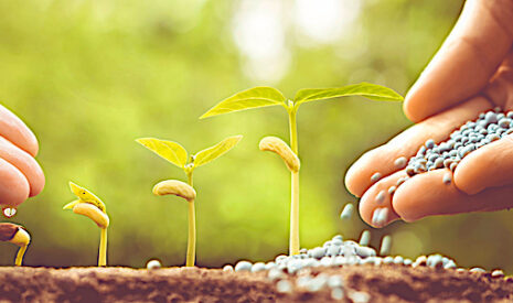 Ferme France, pas de conversion des pratiques des fertilisations notable vers l’agriculture biologique