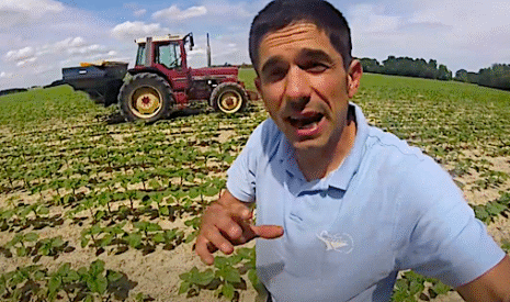 Tournesol, le bon engrais au bon moment