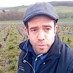 Tour des vignes sur les coteaux de champagne, attention à l’herbe qui pousse