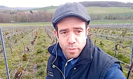 Tour des vignes sur les coteaux de champagne, attention à l’herbe qui pousse