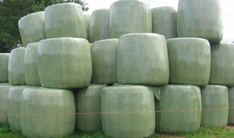 Une gamme complète d&rsquo;enrubanneuses