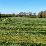 Ensilage d’herbe, toutes les étapes en détails