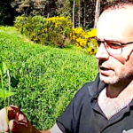 Ensilage et enrubannage, vite fait bien fait, ouf !