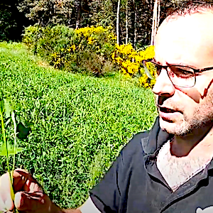 ensilage herbe haute loire