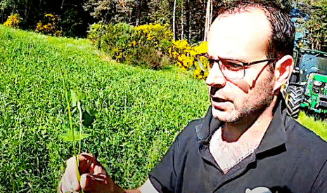 Ensilage et enrubannage, vite fait bien fait, ouf !