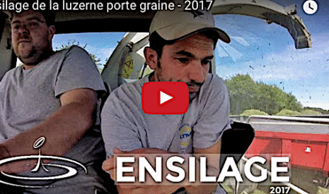 L’ensilage de la luzerne à destination des animaux