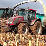 Ensilage de maïs dans le Finistère