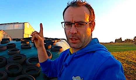 Voici comment utiliser l’ensilage pour les brebis
