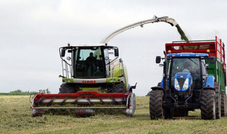 Qu’est-ce que l’ensilage ?