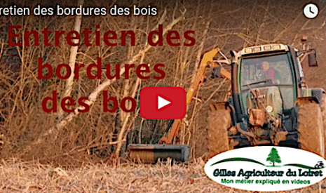 Entretien des bordures des bois avec une épareuse