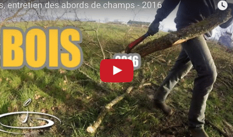 Entretien des lisières de champs, du paysage et des bois