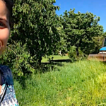 L’entretien du parc à poules