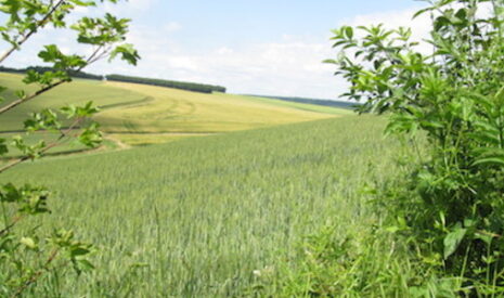 Va-t-on laisser une place à l’homme dans l’environnement ?
