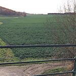 Environnement et climat, sujets incontournables en recherche et développement