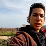 Comment lutter contre les escargots dans les vignes