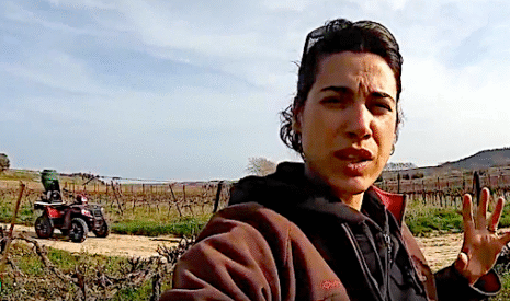 Comment lutter contre les escargots dans les vignes