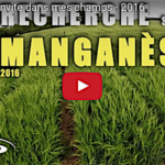 La recherche s’invite dans mes champs pour leur redonner du manganèse