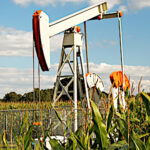 L’agriculture est-elle à l’abri d’une nouvelle flambée des cours du pétrole ?