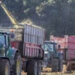S’EMPARER DE L’INNOVATION SHREDLAGE POUR L’ENSILAGE