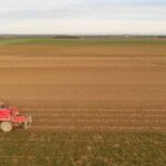 Débardage des betteraves : L’alternative économique