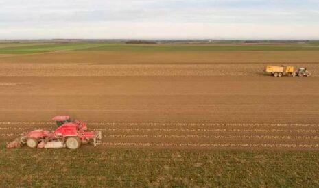 Débardage des betteraves : L’alternative économique