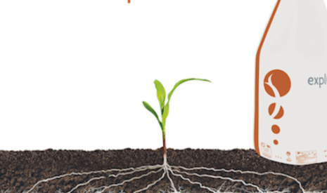 ExplOrer, nouveau biostimulant de la rhizosphère