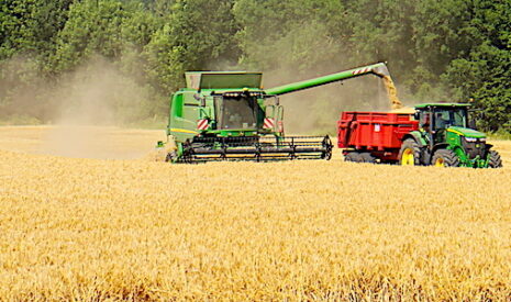 Marchés céréaliers 2019-2020, l’export monopolisé par une dizaine de pays