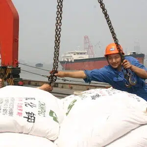 export grains chine
