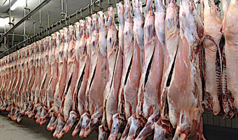 Viande bovine et export, la France peut mieux faire vers les pays de la Méditerranée