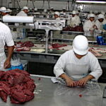 Marchés mondiaux des viandes, l’Inde, la Russie et la Chine rebattent les cartes