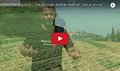 La fête des moissons, une fête des voisins version agricole