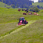 Fauche d’herbe sur un terrain en pente