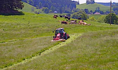 Fauche d’herbe sur un terrain en pente