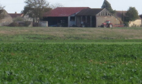 Combien vaut ma ferme ?