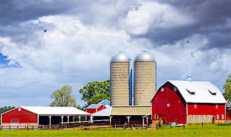 Farm Bill, les règles connues des farmers américains pour les dix prochaines années
