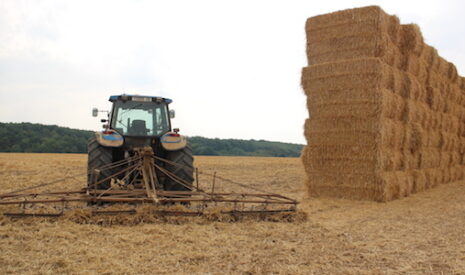 Le revenu des agriculteurs de moins en moins agricole